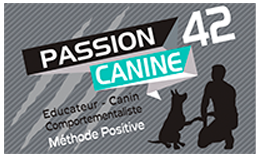 Passion Canine 42